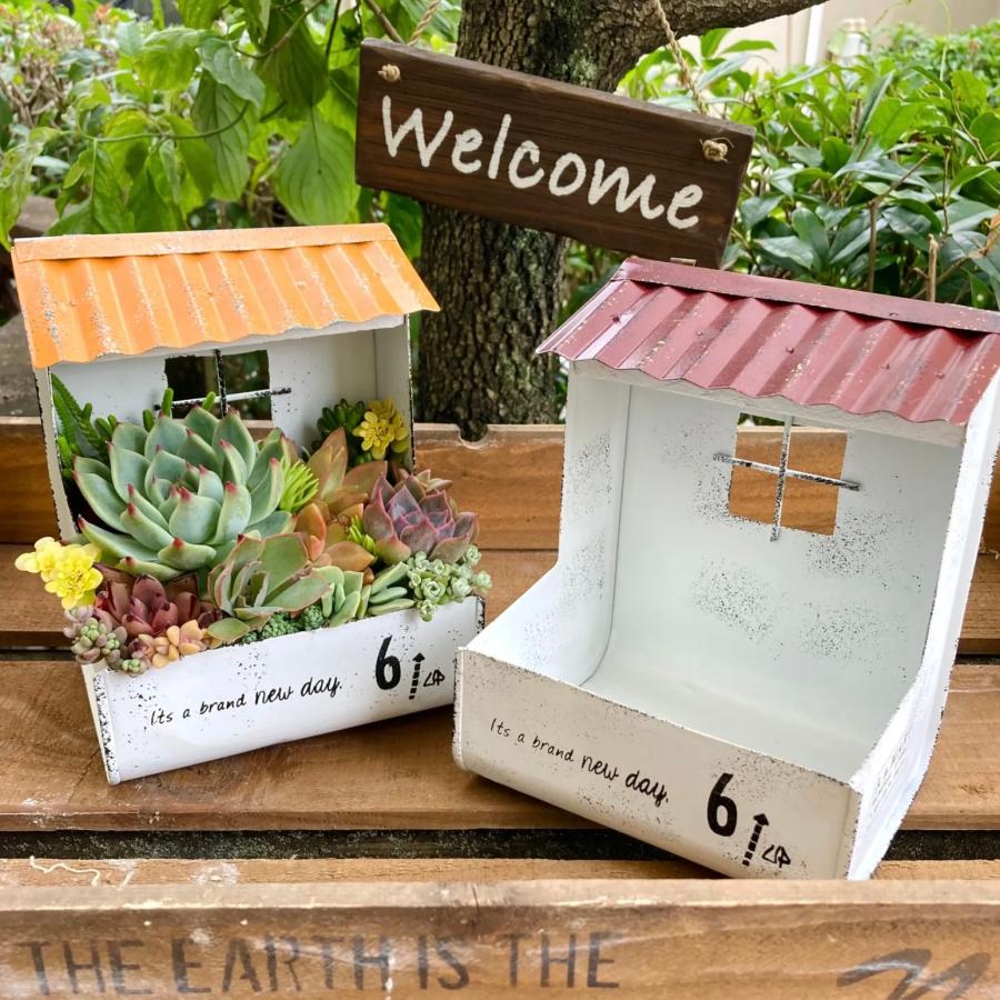 プランター 植木鉢 多肉植物 寄せ植え ブリキ ガーデニング雑貨 プランター 植木鉢 多肉植物 寄せ植え ブリキ ガーデニング雑貨