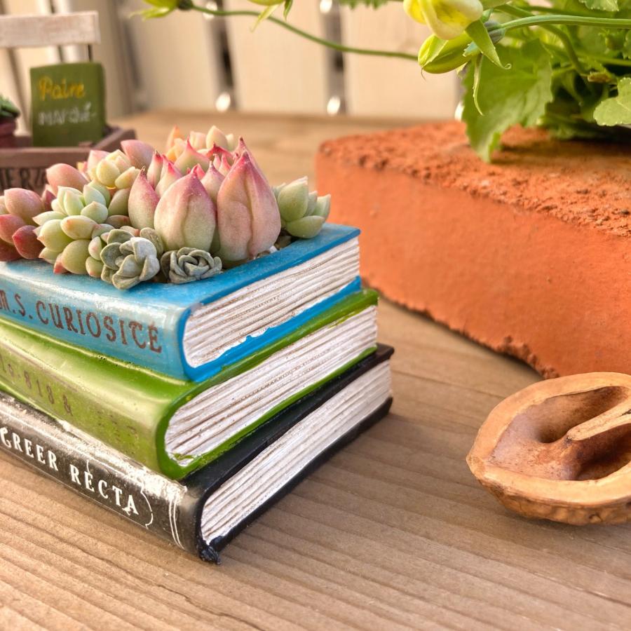 植木鉢 プランター 多肉 植物 寄せ植え かわいい おしゃれ 洋書 植木鉢 プランター 多肉 植物 寄せ植え かわいい おしゃれ 洋書
