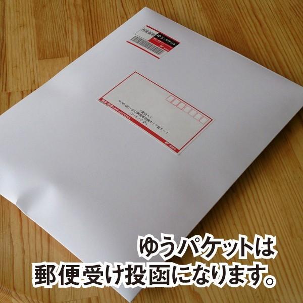 coffeecity（コーヒーシティ） タンザニアQグレードスノートップAA