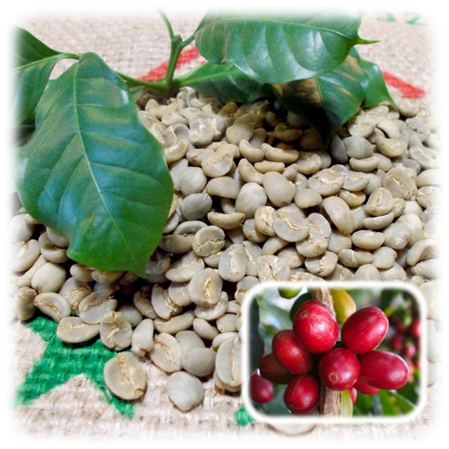 マンデリン ビンタン リマ 0g Special 021 0 珈琲豆優yahoo 店 通販 Yahoo ショッピング