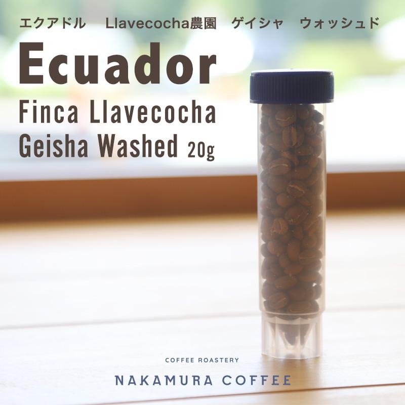 コーヒー豆　エクアドル　ウォッシュド　浅煎り　Llavecocha農園　ゲイシャ | 