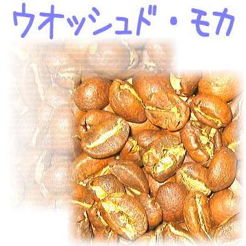 コーヒー豆　焙煎したて　ウオッシュド・モカ　内容量250g｜coffee-seikatsu