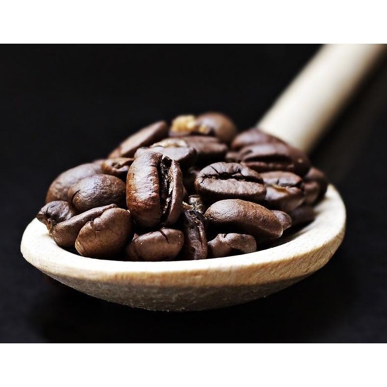 ギフト プレゼント コピ・ルアク 100g KOPI LUWAK コピ・ルアック 高級