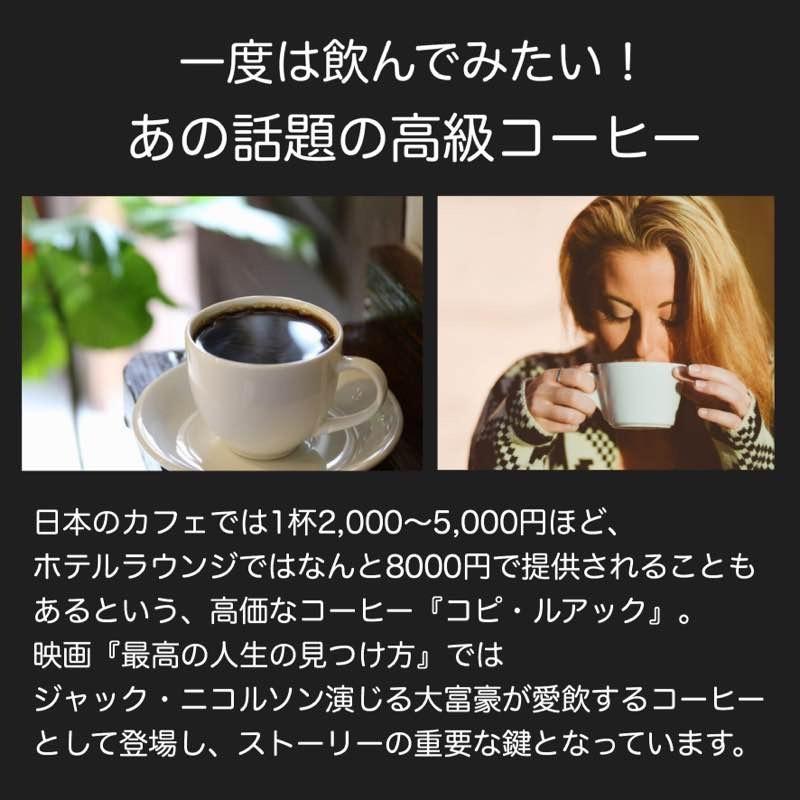 コピルアク ルアック コーヒー 豆 50g アラビカ ジャコウネココーヒー