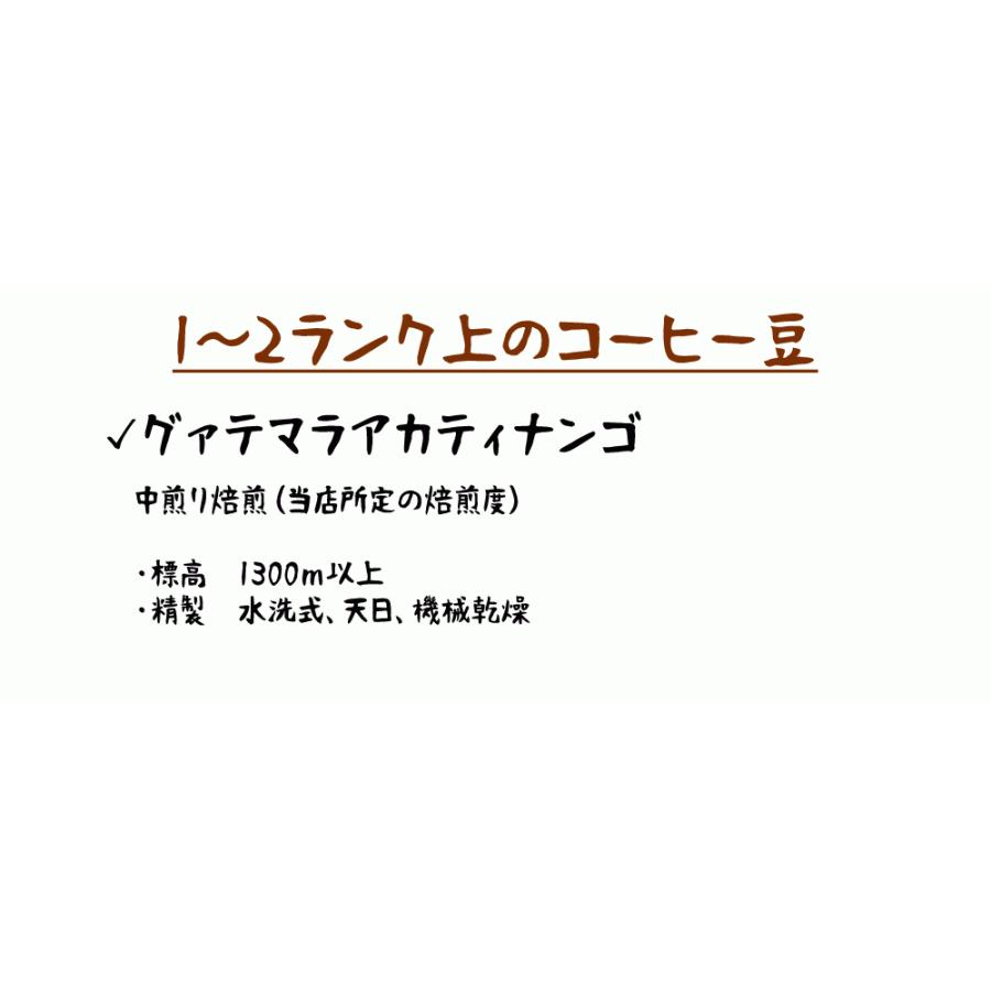 コーヒー豆 アカティナンゴグアテマラ（500g×2袋） : 焙煎工房 豆太