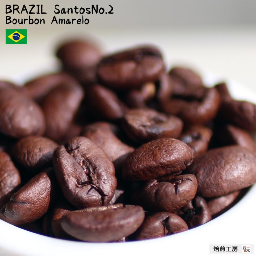 コーヒー豆 1kg ブラジルアマレロブルボン 単一農園｜coffee｜05