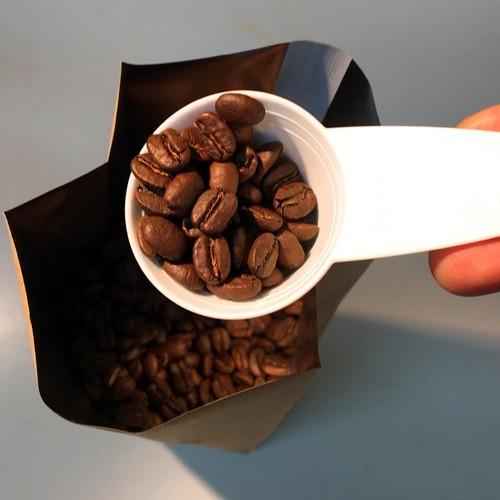 コーヒー豆 1kg ブラジルアマレロブルボン 単一農園｜coffee｜07