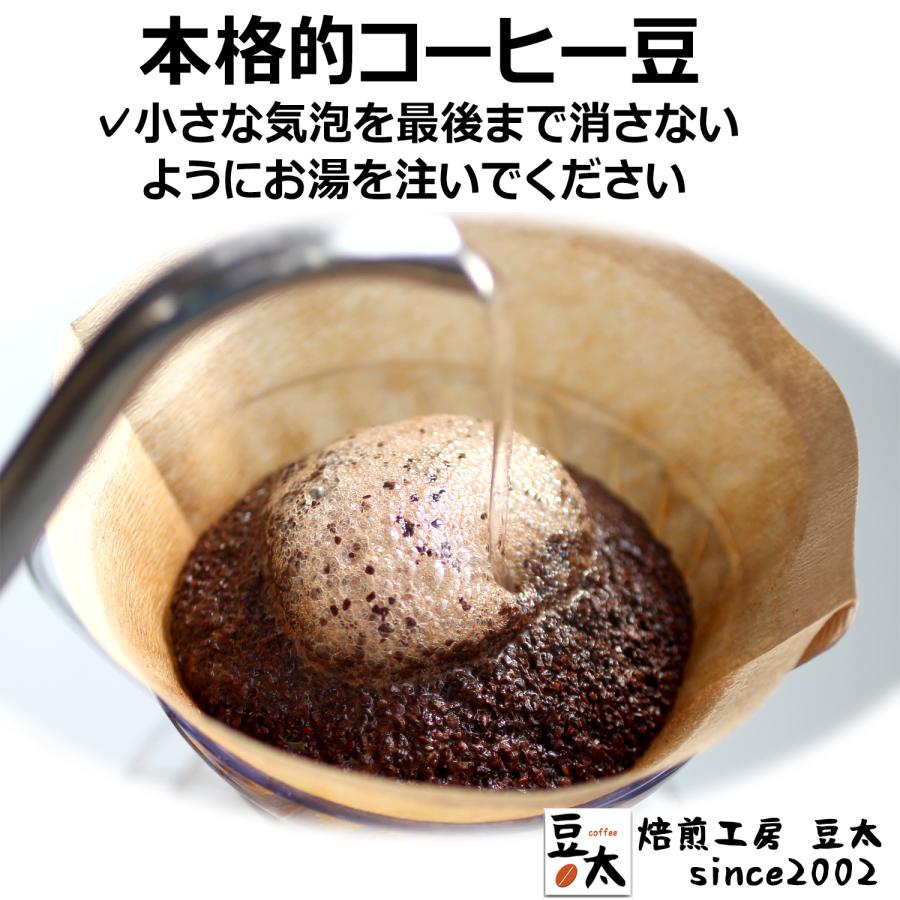コーヒー豆 ブラジルセラード ／単一銘柄、ブレンド無し 150g×3袋 : 焙