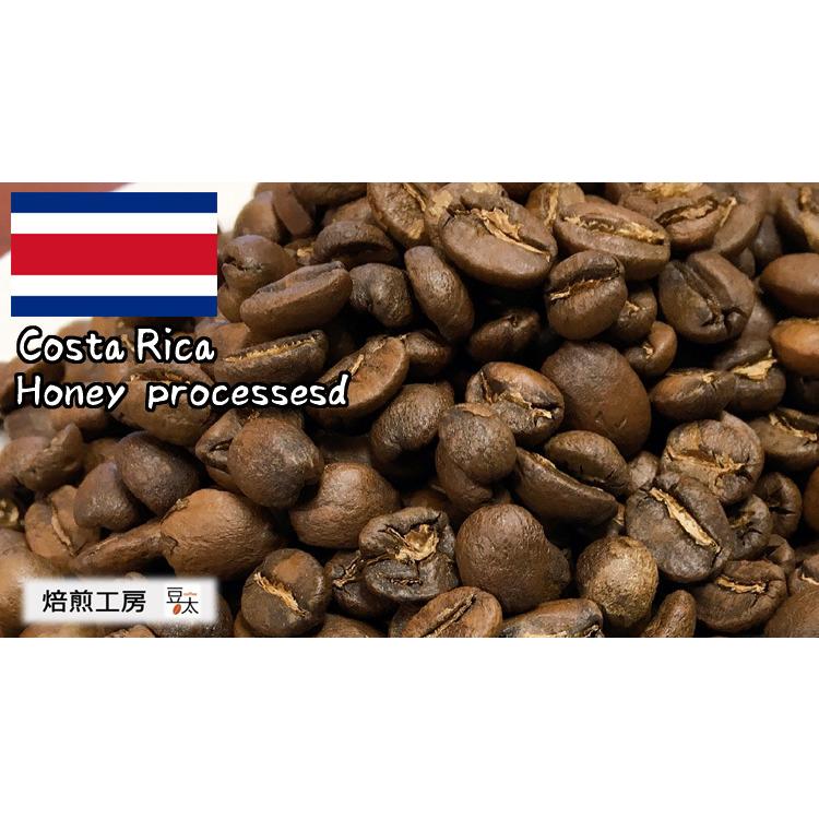 コーヒー豆 コスタリカスペシャルティ 500g 2袋 Cst Hn1000 焙煎工房 豆太 Yahoo 店 通販 Yahoo ショッピング