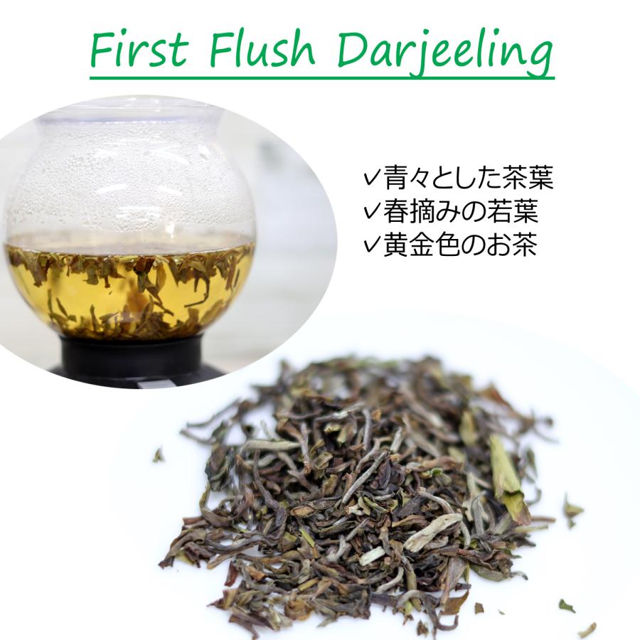 希少！紅茶の最高峰 ダージリン・ファーストフラッシュ　希少！春摘みダージリン　10g袋入り　gd-dj9 |  | 02