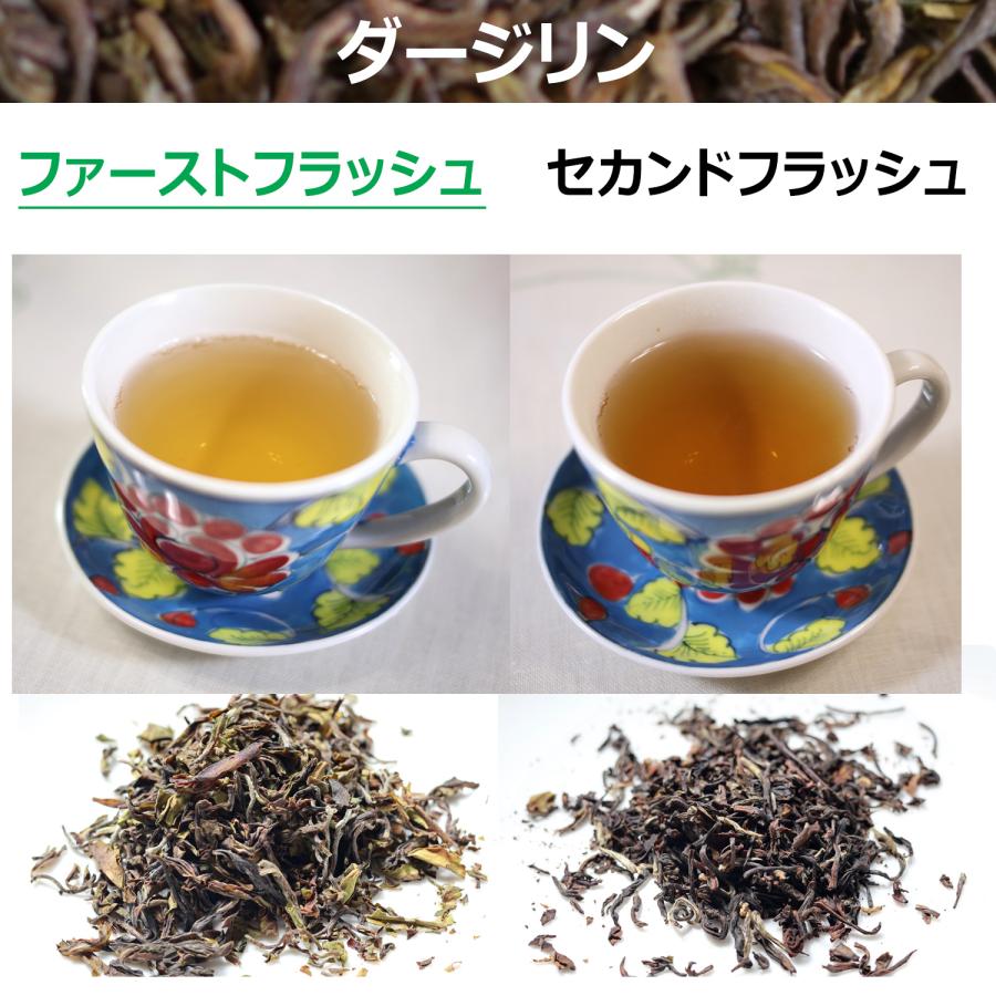 希少！紅茶の最高峰 ダージリン・ファーストフラッシュ　希少！春摘みダージリン　10g袋入り　gd-dj9 |  | 03