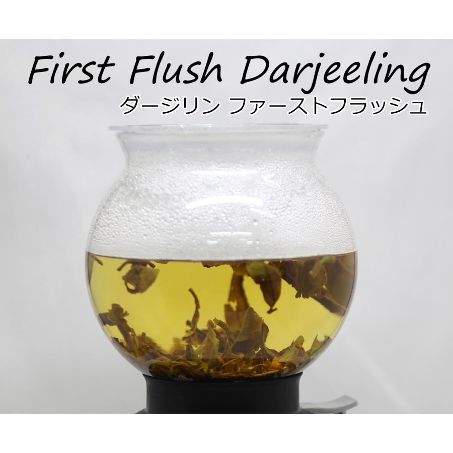 希少！紅茶の最高峰 ダージリン・ファーストフラッシュ　希少！春摘みダージリン　10g袋入り　gd-dj9 |  | 04