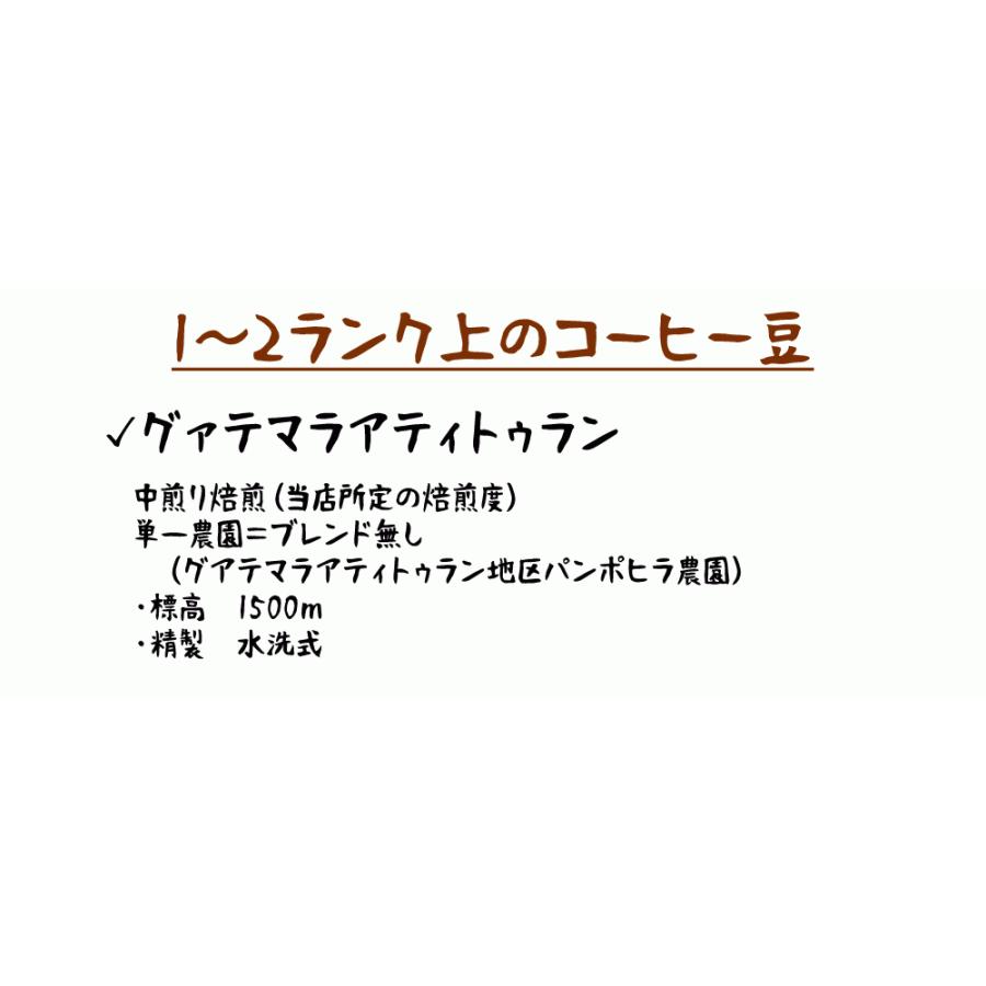 コーヒー豆 パンポヒラ農園 グァテマラ・アティトラン500g×2袋/豆の