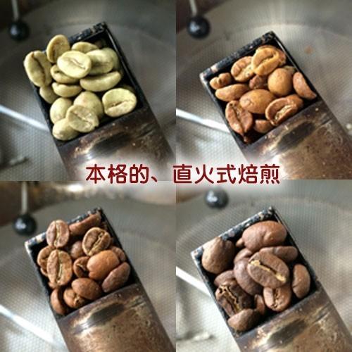 コーヒー豆 キリマンジャロ タンザニアKIBO 500g×3袋/豆のまま限定