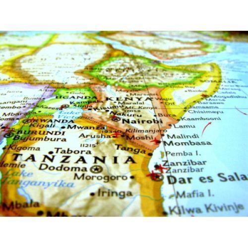 送料無料 キリマンジャロ 4kg 400杯〜600杯 コーヒー豆/上品な酸味と黒糖のような甘い香り タンザニア・AA(キリマンジャロ