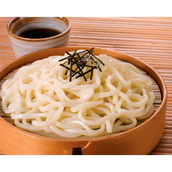 うどん 地域限定送料無料)業務用 (単品) お店のための 冷凍うどんR250 250g×5