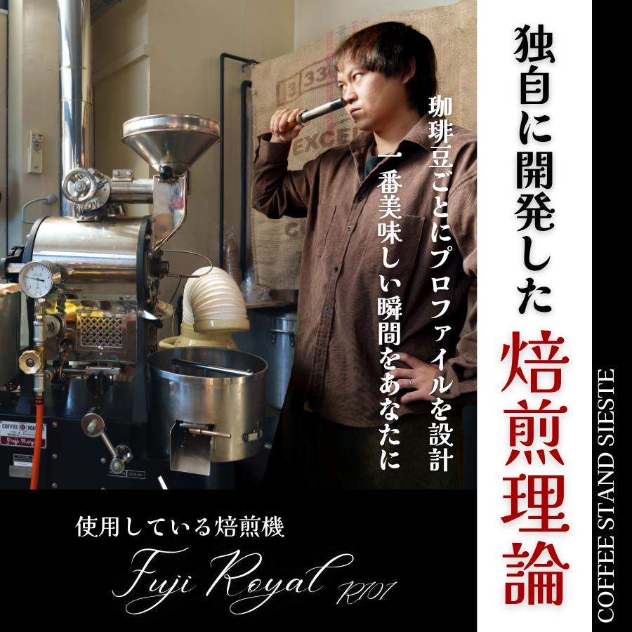 珈琲豆 シエスタブレンド 200g 【中深煎り】 フルシティロースト