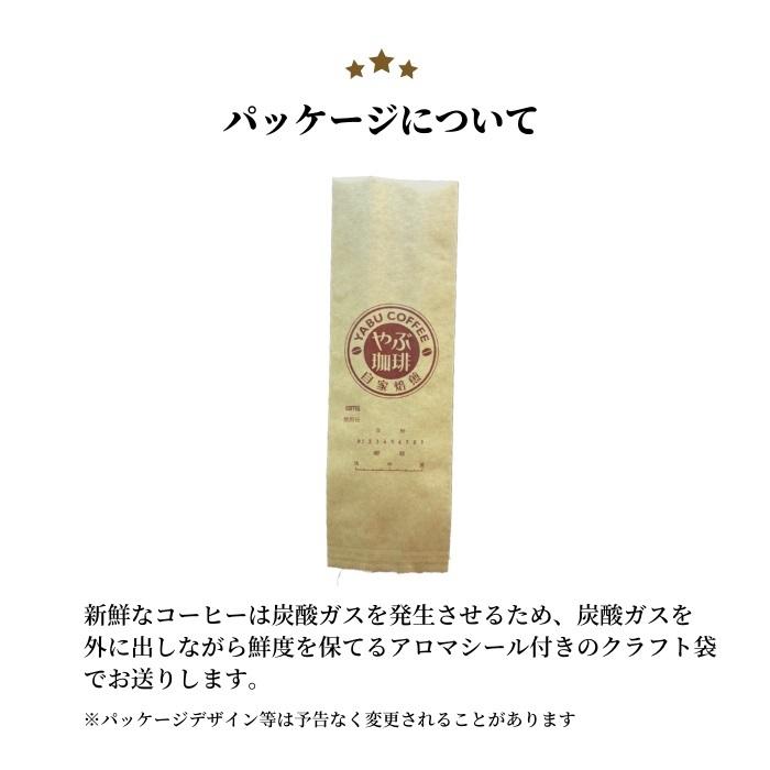 コーヒー豆 自家焙煎 珈琲豆屋 種類 ケニアaa 200g 高級 小型 焙煎機 生豆 豆 粉 こだわり贅沢 本格 挽き立て 新鮮 苦味 コク Yabucoffee24 珈琲豆専門店やぶ珈琲ヤフー店 通販 Yahoo ショッピング