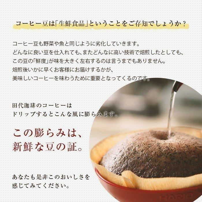 【送料無料】「田代珈琲　季節のお届け〜春〜」【4種合計600ｇ】|｜coffeeyasan｜12