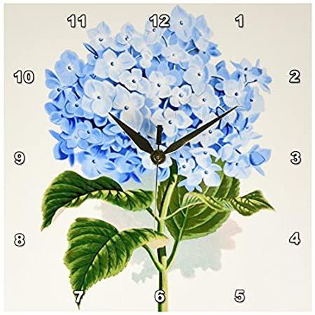 代引送料無料 青アジサイの花 春 アンティークイメージ壁掛け時計 25 48 ビンテージアート 花柄図面 夏 花 X Dpp 1 3drose 25 好評販売中 通販 銀座 Wp Agora Gallery Com