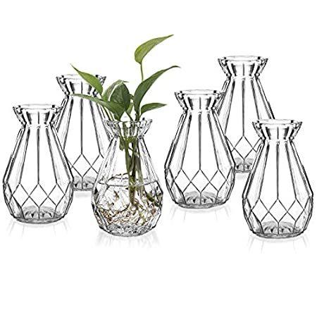 MyGift 5インチ 装飾用透明ガラスダイヤモンド面フラワー花瓶 6個セット好評販売中 花瓶、花器 開店祝い