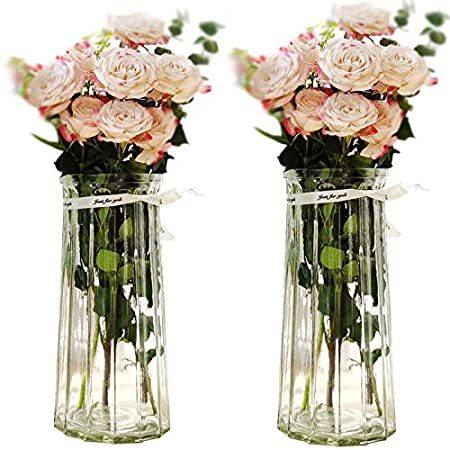 代引 送料無料 Funsoba クリアガラス花瓶 センターピース装飾 トール モダン 大きな花瓶 花用 クリア クリア 好評販売中 B08t7331m3 Coffre Au Tresor 通販 Yahoo ショッピング 問屋 激安 Stage Alphamosaichotelbrisbane Com Au