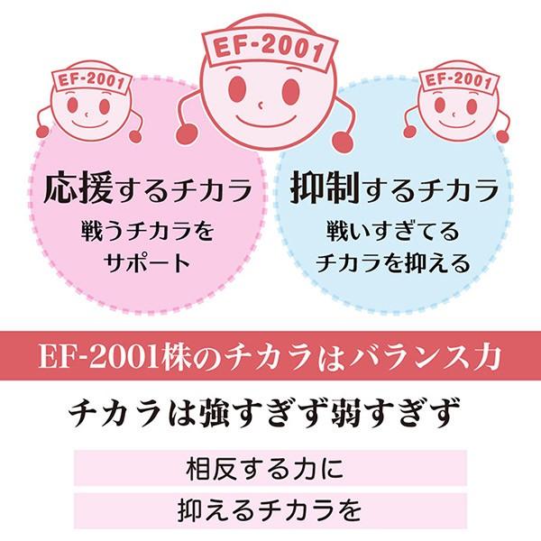 H&J.N EF-2001 サプリメント 4個セット H&J.N EF-2001 サプリメント 4個セット