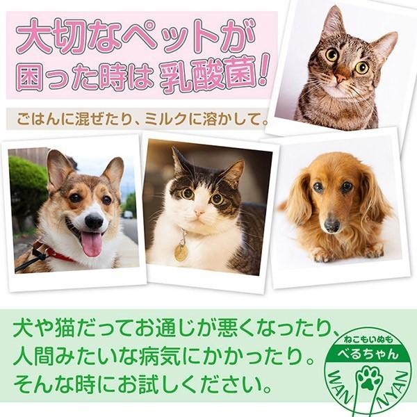 あすも　(訳あり)ベルムア150 箱無し3セット あすも (訳あり)ベルムア150 箱無し3セット 楽天市場】ベルムア