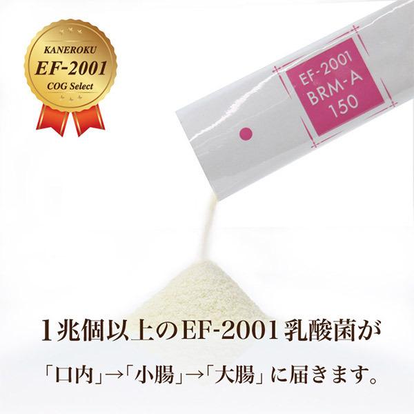 ベルムア150 50包パック オマケ付き EF-2001乳酸菌 送料 ベルムア150 50包パック オマケ付き EF-2001乳酸菌 送料