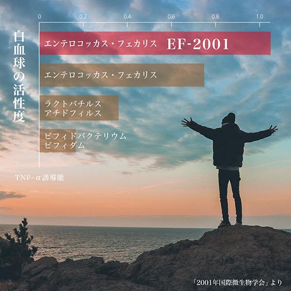 ベルムア150 50包パック ３箱セット オマケ付き 送料無料 EF2001 |  | 05