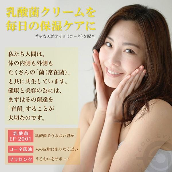 ベルムアクリーム ef2001 コーネ油 おまけ付き 送料無料 |  | 03