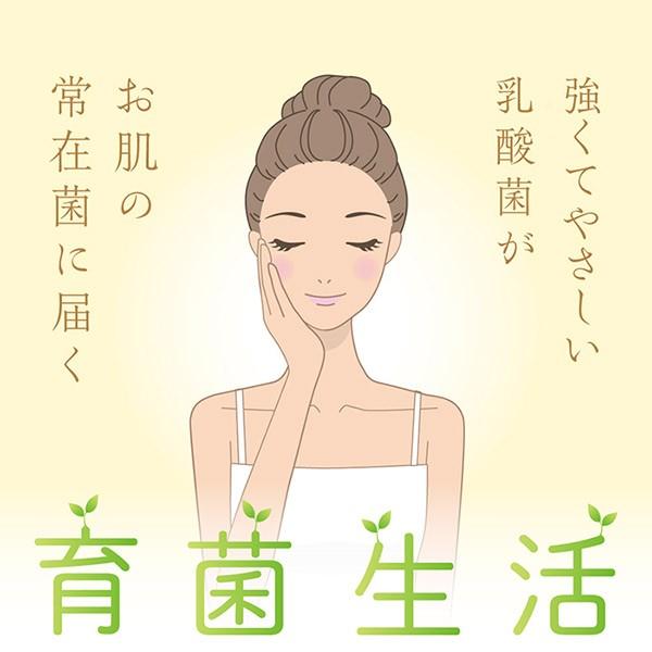 ベルムアクリーム ef2001 コーネ油 おまけ付き 送料無料 |  | 06