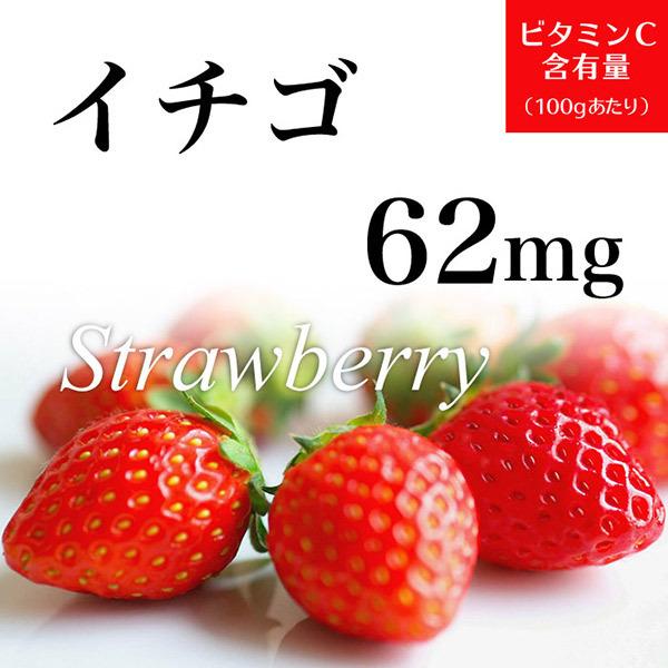 ビタミンC　２箱セット　ワカサプリ |  | 13