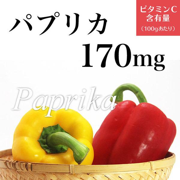 ビタミンC　２箱セット　ワカサプリ |  | 09