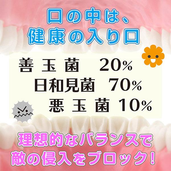 マウスケア マウスケアベルムア 粉タイプ EF2001 オマケ付き 送料無料 |  | 03