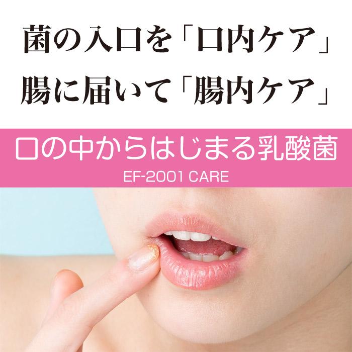 マウスケア マウスケアベルムア 粉タイプ EF2001 オマケ付き 送料無料 |  | 06