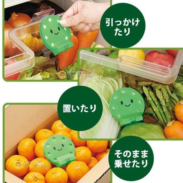 COGIT 野菜室に入れるだけ 野菜や果物の鮮度が長持ちする