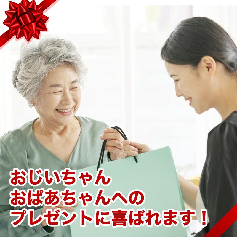 薬の管理 薬収納 壁収納 薬ポケット 薬ケース 薬入れ 介護用品 入れやすくて出しやすいお薬カレンダー  コジット |  | 09