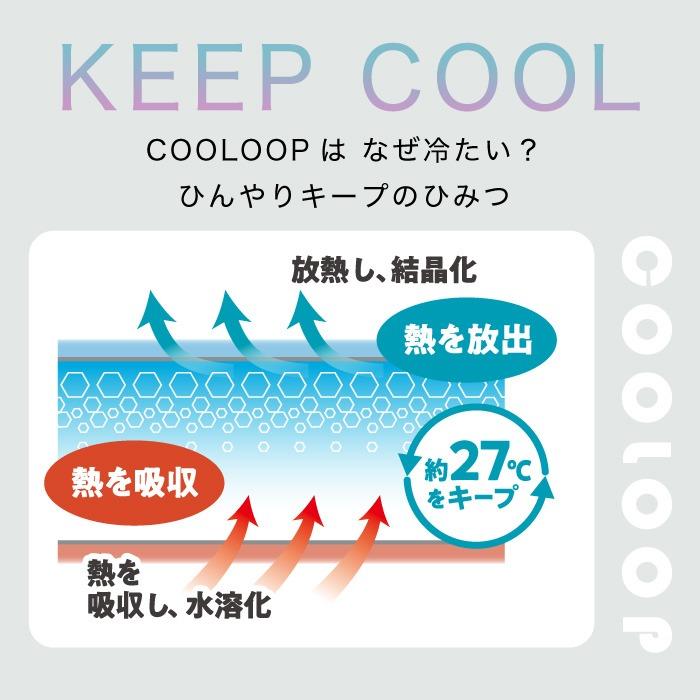アイスピロー 熱中夜対策 睡眠中 クール―プ 猛暑対策 COOLOOP アイス