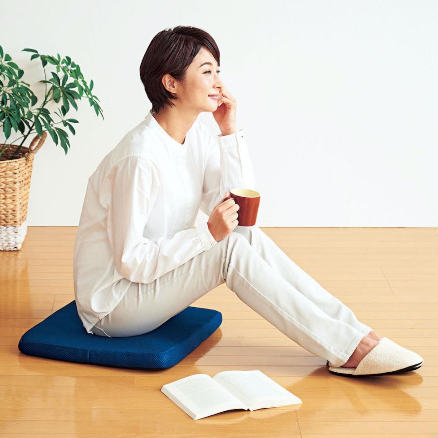 クッション 座布団 カバー付 腰痛対策 Wゲルクッション ハネナイトキング コジット 送料無料 | COGIT | 10