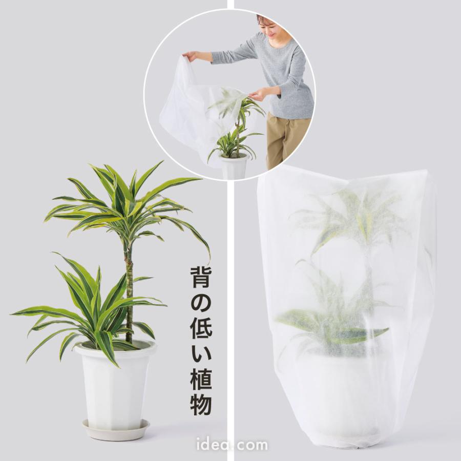 植物保護カバー 植木カバー 防虫 霜よけカバー 鉢カバー ガーデニング用品 家庭菜園グッズ  マチ付き霜よけ・虫よけカバー5枚組[コジット] |  | 08