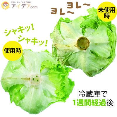 COGIT 鮮度保持ピック 野菜 鮮度保持 刺すだけ 野菜長持ち