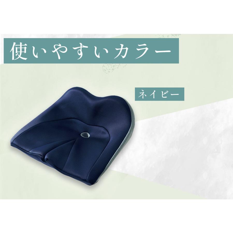 COGIT（コジット） 腰痛対策クッション 骨盤サポート オフィス 座椅子 