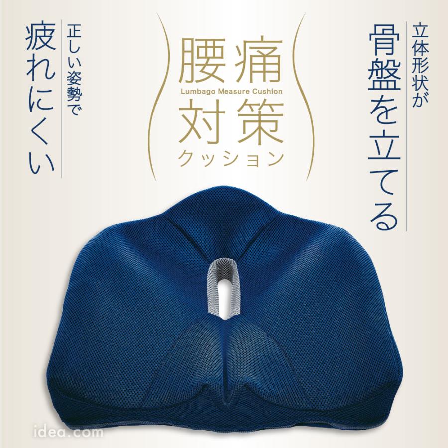 骨盤クッション 腰痛対策クッション 美姿勢 背筋 座るだけで骨盤が立ち