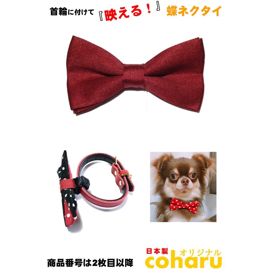 犬 猫 首輪に付けるだけ蝶ネクタイ ボウタイ Bowtie Dc O Coharu 蝶ネクタイのこはる 通販 Yahoo ショッピング