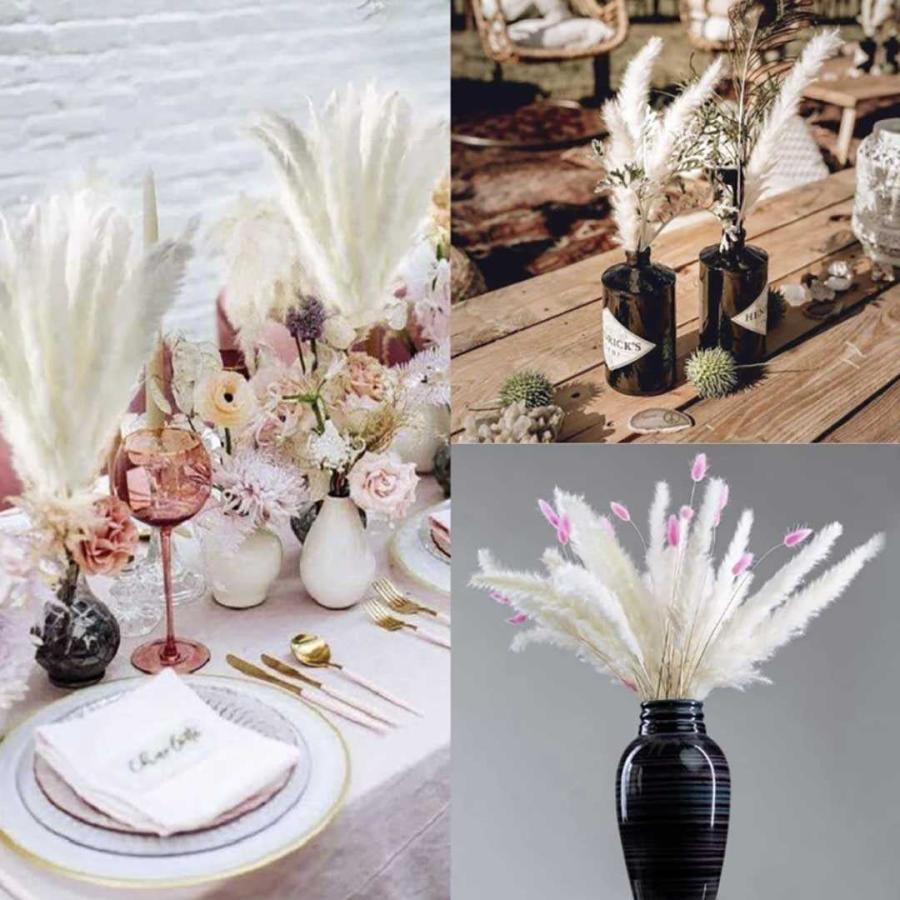 インテリア パンパスグラス 15本セット ドライフラワー FloweAiO インテリア パンパスグラス 15本セット ドライフラワー Flowe