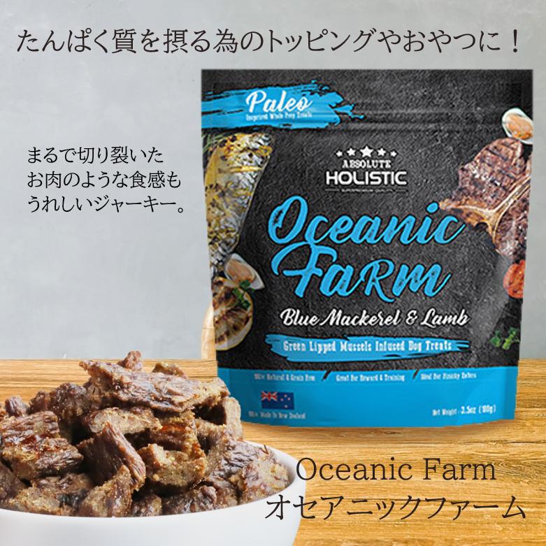 ABSOLUTE HOLISTIC エアドライド ビーフ＆ベニソン ABSOLUTE HOLISTIC エアドライ ドッグフード ビーフ&ベニソン