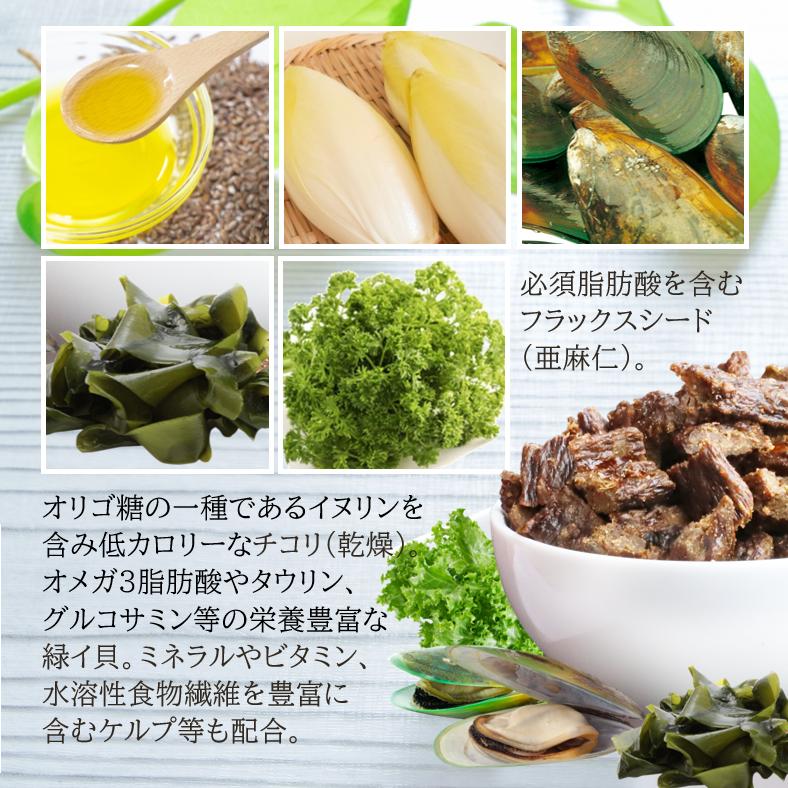 ABSOLUTE HOLISTIC エアドライド ビーフ＆ベニソン ABSOLUTE HOLISTIC エアドライ ドッグフード ビーフ&ベニソン