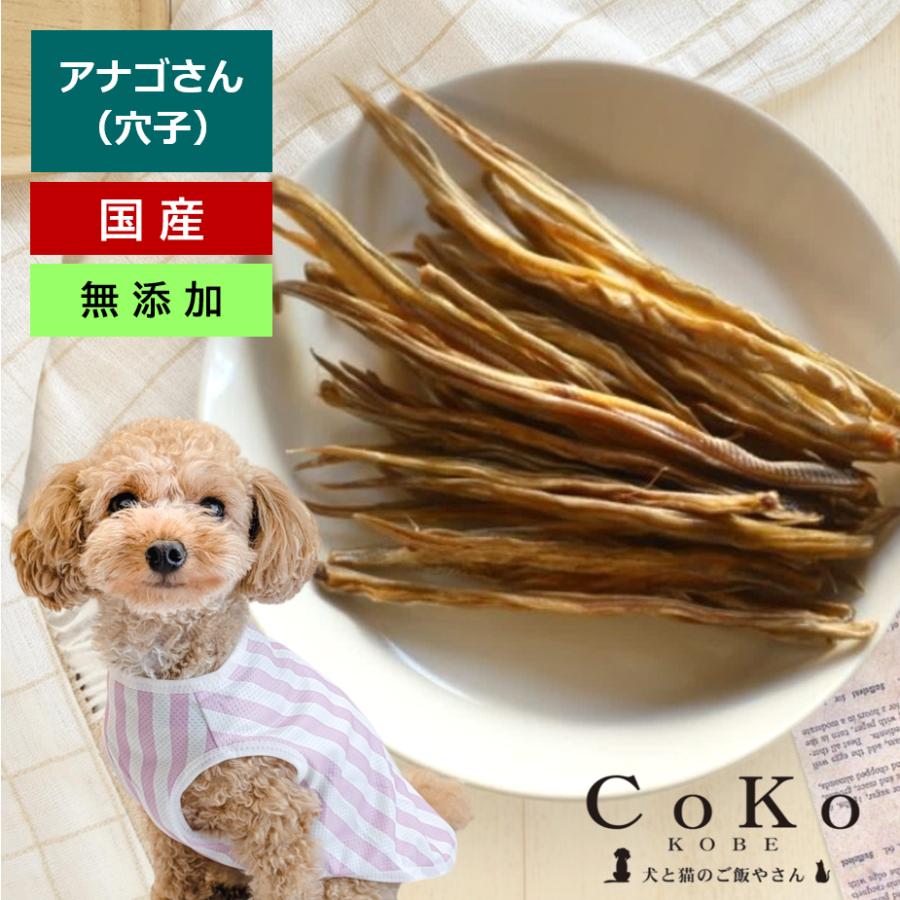 akiko　犬の無添加おやつ CoKoオリジナル 犬おやつ 魚の素材 無添加 国産 アナゴさん(45g)Conger
