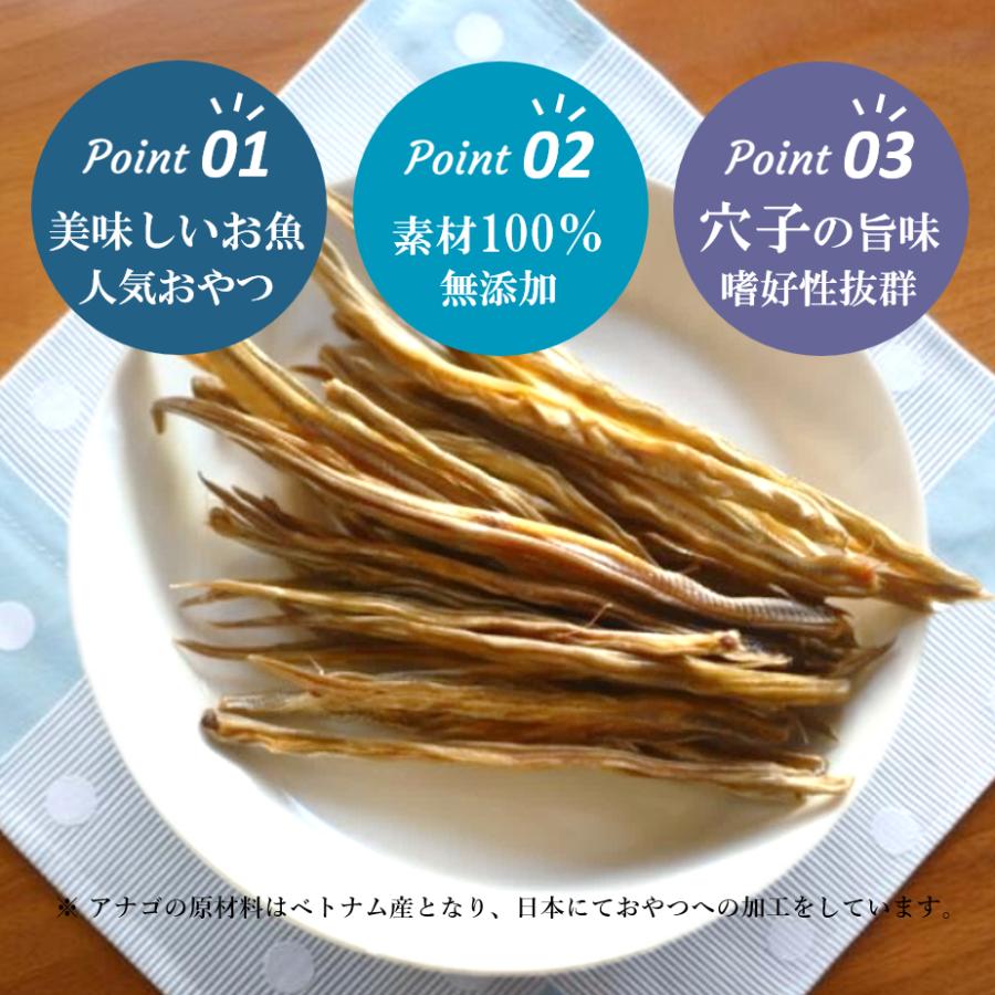 CoKoオリジナル 犬おやつ 魚の素材 無添加 国産 アナゴさん(45g)Conger
